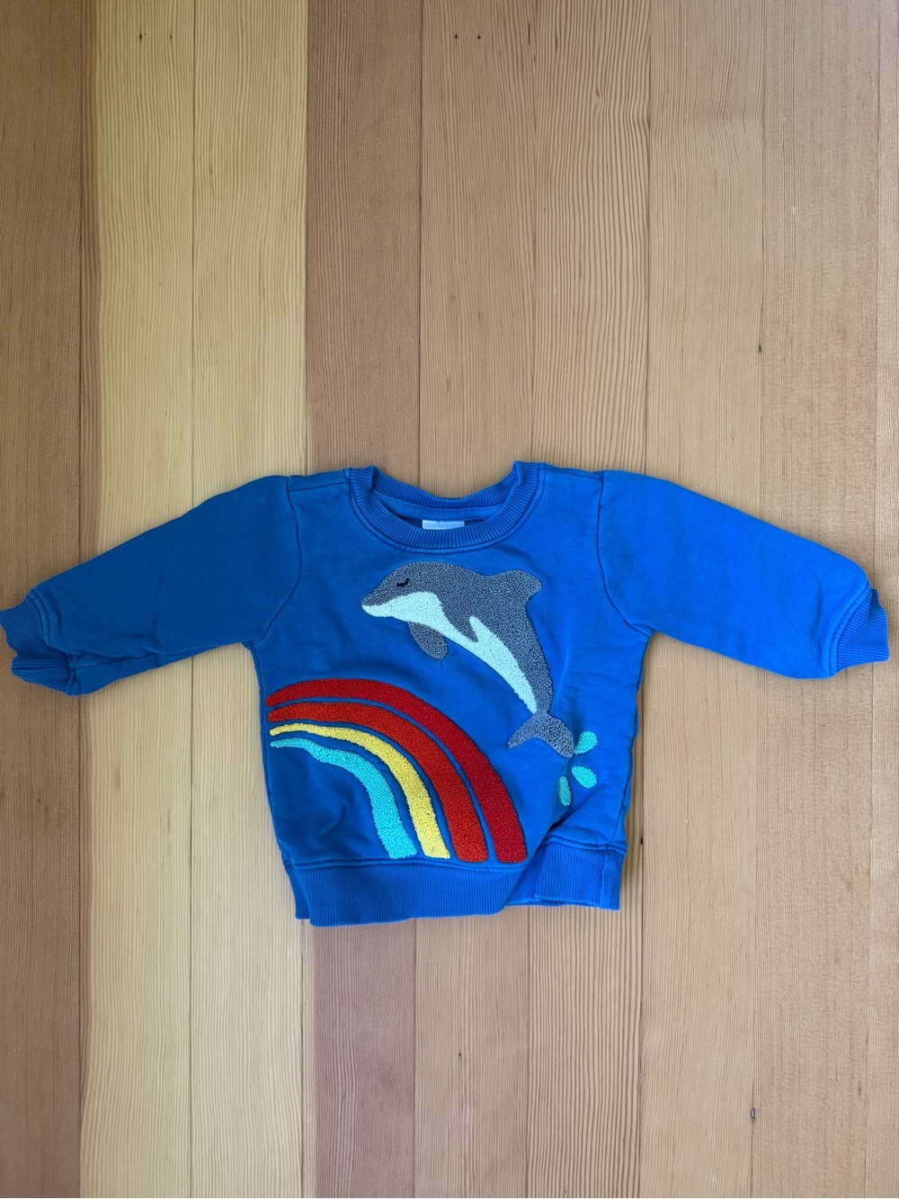 Hanna andersson Blue Dolphin & Rainbow Sweatshirt